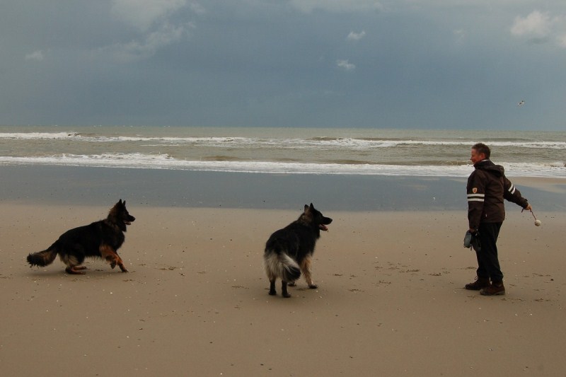 Xerus en Zaza op Vlieland (19).jpg